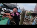 mancing belanak babon di spot dalam 30 cm caranya