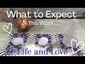 🔮🔮🔮 What is Happening This Week?!  Pick A Card  *TIMELESS*  Life / Love Tarot Reading +Charms