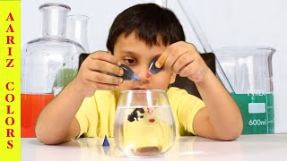 DIY science experiments video for growing kids | Science experiments for kids at home | Aariz Colors