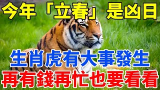 今年「立春」是凶日！百年難得一遇。生肖虎有大事發生！再有錢再忙也要看看！【禪定自在】#生肖 #運勢 #命理 #屬相 #風水