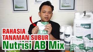 NUTRISI HIDROPONIK AB MIX, NUTRISI TANAMAN SEJUTA MANFAAT