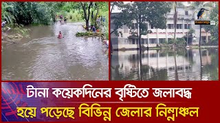 টানা কয়েকদিনের বৃষ্টিতে জলাবদ্ধ হয়ে পড়েছে বিভিন্ন জেলার নিম্নাঞ্চল। Maasranga News