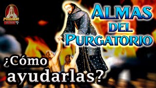 ¿Cómo Ayudar a las Almas del Purgatorio?🎙️5° Podcast Caballeros de la Virgen en Vivo🔴