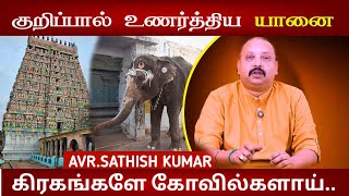 கோவில் யானை உணர்த்திய உண்மை | Astrology In Tamil | AVR Sathish Kumar | Adi Kumbeshwarar Temple