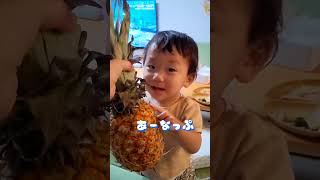 パイナップルをそのまま食べようとする弟…#3歳 #1歳5ヶ月 #年子育児