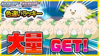 【ポケトレ】配信中に7匹も色違いラッキー出たんだがwww-ポケモンパール-（色違いラッキー/pokerader/Shiny Chansey)