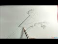 How to draw a Parrot step by step | Easy Parrot drawing