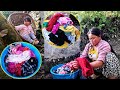 Jonson washing clothes with mom || Jina enjoying her motherhood @pastorallifeofnepal