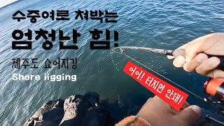 우당탕 쳐 박는 힘 좋은 녀석! 제주도 쇼어지깅 Amberjack Shore jigging