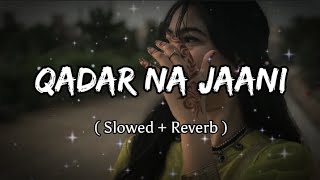 Qadar Na Jaani Lofi Song | Slowed + Reverb | Sonu Kakkar New Hindi Song | #new #lofi #trendingsong