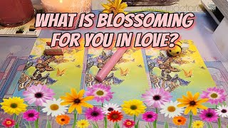 What Is Blossoming For You In LOVE? 🌷🌻🌸 CHARM CASTING #tarotreading