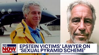 Jeffrey Epstein list: Victims' attorney on Ghislaine Maxwell unsealed documents | LiveNOW from FOX