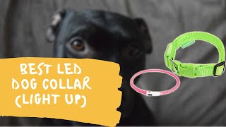 Best LED Dog Collar (Light Up)