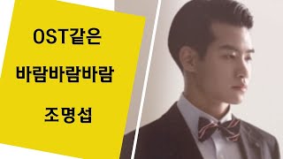 조명섭/ 바람바람바람/ 그대 이름은 바람, 바람아 내 사랑아~~ 영화[화양연화=인생에서 가장 아름답고 찬란했던 시절] OST로 감상