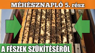 Méhésznapló #05 - A fészek szűkítéséről