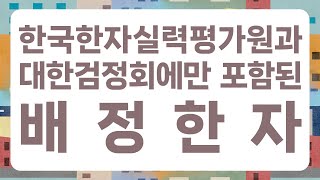 한국한자실력평가원과 대한검정회에만 포함된 배정한자 219자