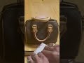 Louis Vuitton Speedy 20