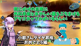 【FGOアーケードゆっくり実況＋VOICEROID実況】ゆっくりGW珍道中#36　マリーが可愛い。それが一番大事【結月ゆかり】はせさん視点