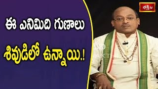 ఈ ఎనిమిది గుణాలు శివుడిలో ఉన్నాయి.! | Panduranga Mahatyam | Sri Garikipati NarasimhaRao | Bhakthi TV