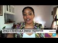 Africa has 'all the ingredients for a clean energy revolution' • FRANCE 24 English