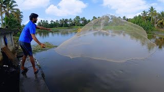 ഈ വലയുടെ അടിയിൽ മുഴുവൻ മീനാണ്....| Kerala village fishing | fishing | fish | traditional fishing |