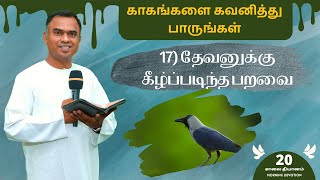 17 - தேவனுக்கு கீழ்ப்படிந்த பறவை || Tamil Morning Devotion || sam g