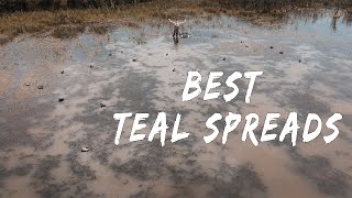 3 KILLER Teal Spreads in 3 Minutes | The Best Early Season Teal Spreads