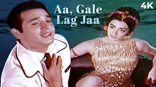 Aa Gale Lag Jaa ❤ 4K Song | Biswajeet | Saira Banu |Mohammed Rafi Ki Awaaz Mein | April Fool 1964