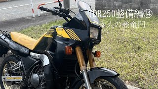 TDR250整備編⑭素人の登竜門