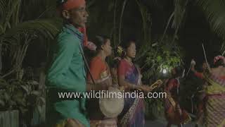 Tusu Dance: Celebrating tradition in the heart of the Sundarbans