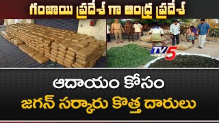 గంజాయి ప్రదేశ్ గా మారుతున్న ఆంధ్రప్రదేశ్ ..!: TV5 Special Story On Ganjayi Mafia @AP | TV5 News