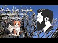 【talk about myself】take.15 plum blossoms u0026 the days with my cat 【february 2025】by trey hasegawa