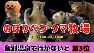 登別温泉で行かないと 第3位【札幌から登別温泉クマ牧場】１回目　今年は北海道に遊びに行こう　#登別クマ牧場　#登別温泉　#登別観光