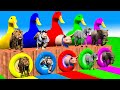 5 Giant Duck Cartoon, Cow, Horse, Elephant, Tiger, Paint Wild Animals Crossing Fountain Animation