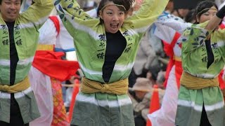 20141011東京よさこい2014前夜祭（葵や一晴・アゼリア通り会場）