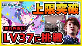 【最難更新】プロセカにレベル37の最難曲が来たらしいのでレベル34の腐れ外道と一緒に初見でボコされにいく【音ゲー / プロジェクトセカイ カラフルステージ！ feat. 初音ミク / DOLCE.】