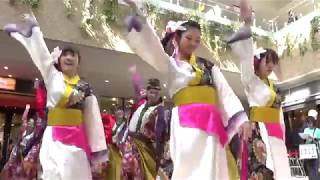 岡山うらじゃ連 我矢桜(わやざくら) 丸亀町グリーンステージ 第３回 YOSAKOI高松祭り 2018