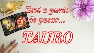 ♉ TAURO | 👌🏻 HAZLO 💥 NO LO PIENSES MÁS 🔥 #TAURO HOY FEBRERO 2023 TAROT HORÓSCOPO