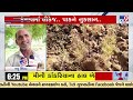 surendranagar canal becomes curse for farmers leakage in canal damages crops tv9gujaratinews