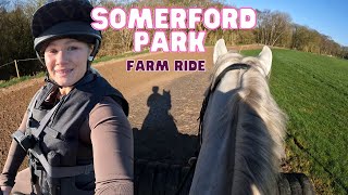 WE JUMPED SOME MASSIVE BRUSH FENCES // somerford park farm ride - GoPro