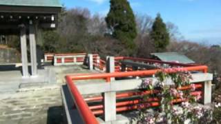 神祇大社伊豆高原　Jinngi Shrine Izu