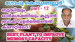 ബ്രഹ്മി|BRAHMI |Bacopa monnieri |BEST MEDICINE TO IMPROVE MEMORY CAPACITY | GOPU KODUNGALLUR | A2Z