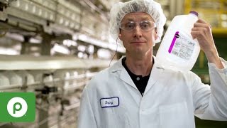 Publix Jobs: What's it Like to Work for Publix Manufacturing?