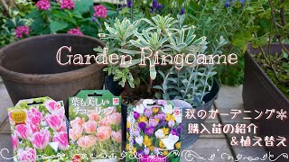 【ガーデニング】10月の購入苗紹介\u0026植え替え🌼秋のガーデニング作業【寄せ植え】