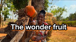 The wonder fruit everyone should try | African Village