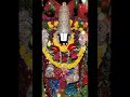 vinnapalu vinavale..🙏 devotional tirumala tirupati annamayya namovenkatesa shorts