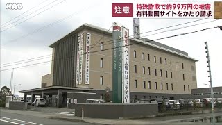 有料動画サイトかたり請求　特殊詐欺で９９万円被害