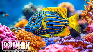 Seahorse Symphony 8K (ULTRA HD) 🐠 Tiny Ocean Wonders \u0026 Soft Piano