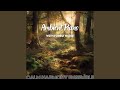 Tale with No End (Top Meditation Music Collection) - Forest Sounds