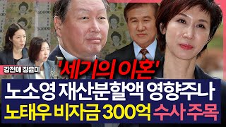 [이슈\u0026피플] '세기의 이혼' 노소영 재산분할액 영향주나..노태우 비자금 300억 수사 주목_240926